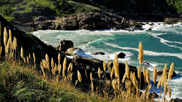 Costão rochoso com mar turquesa e vegetação em Garopaba